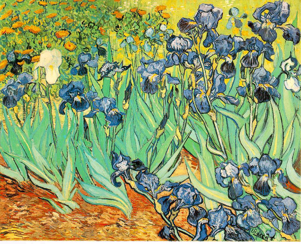 Irises by Vincent Van Gogh Irises by Vincent Van Gogh
